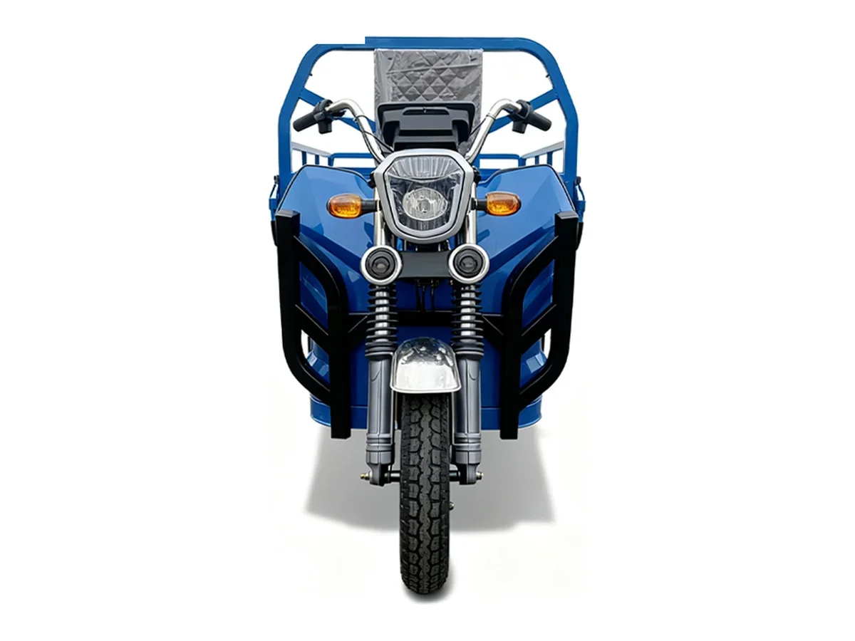 C16 Electric Cargo Tricycle (1.6 m box)