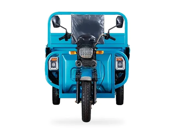 C16 Electric Cargo Tricycle (1.6 m box) view 7