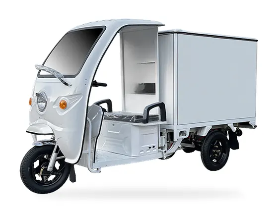 CB10 Closed-Box Delivery Tricycle