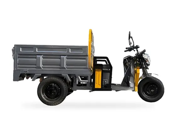 CE15 EEC-Version Electric Cargo Tricycle view 5