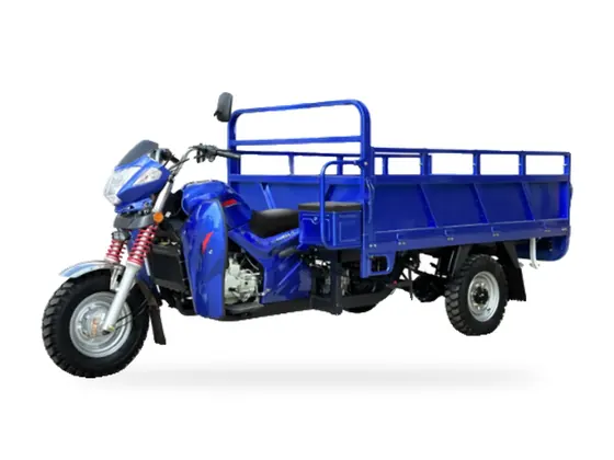 F175 Gasoline Cargo Tricycle (175 / 200cc) view 2