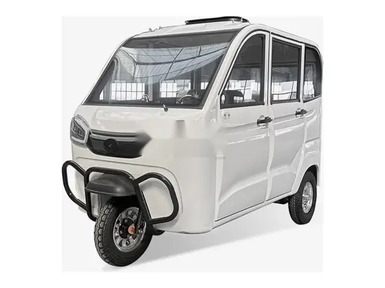 P3 Enclosed Electric Passenger Tricycle (2–3 seats)