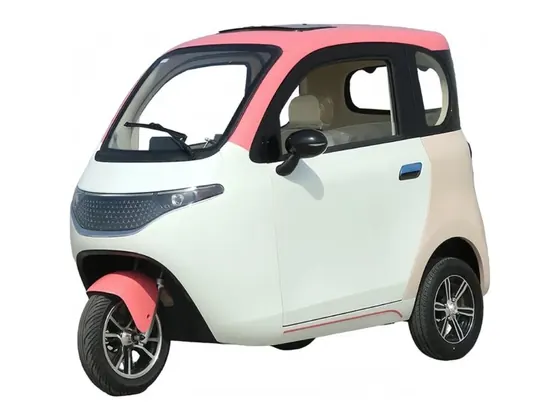 P3 Enclosed Electric Passenger Tricycle (2–3 seats) view 2