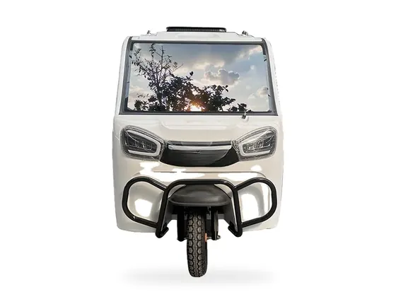 P3 Enclosed Electric Passenger Tricycle (2–3 seats) view 4