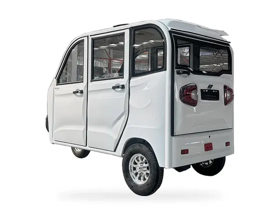 P3 Enclosed Electric Passenger Tricycle (2–3 seats) view 5